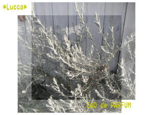 20100225.jpg
