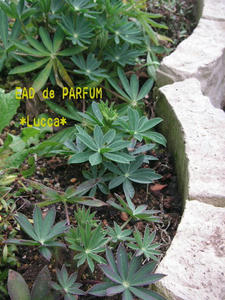 20100225e.jpg