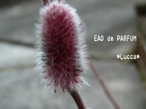 20100227c.jpg
