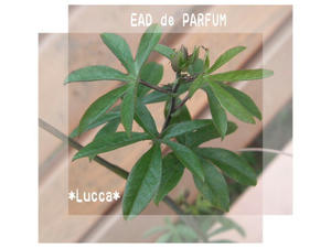 20100301a.jpg