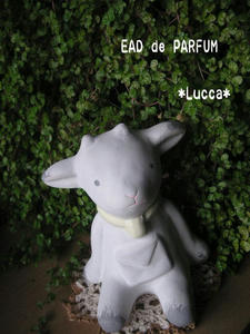 20100304a.jpg