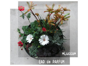 20100306.jpg