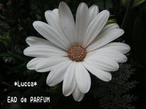 20100306c.jpg