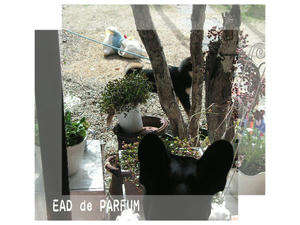 20100306e.jpg