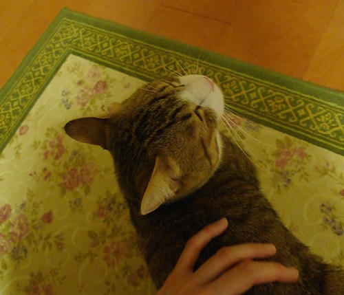 P1320465-9-11-6.JPG