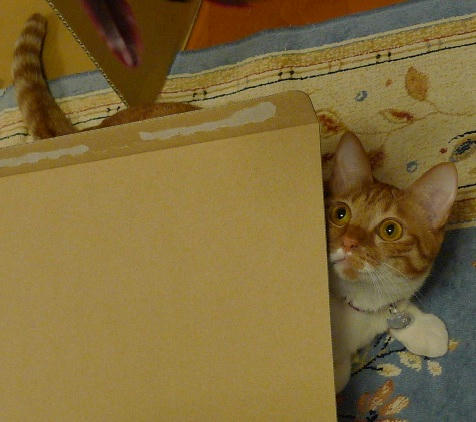 P1390623-2010-1-1-3.JPG