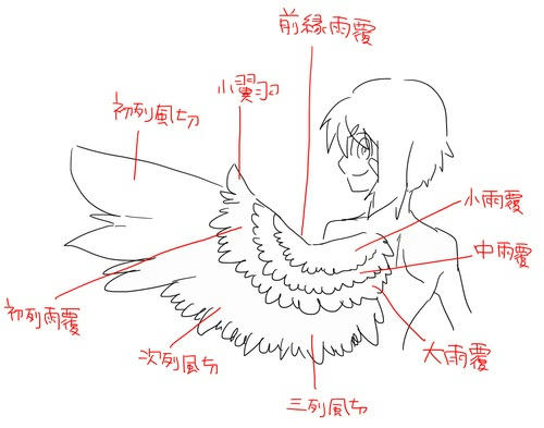 fe8ead9b.jpeg