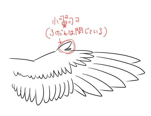 d0003f6c.jpg