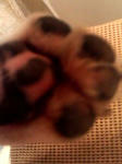070703_2100000.jpg