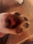 070703_2100003.jpg