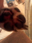 070703_2110000.jpg