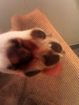 070703_2110002.jpg
