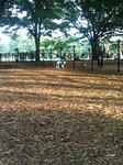 070707_1723.jpg
