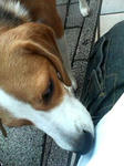 070708_1802000.jpg