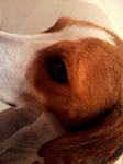 070716_1750001.jpg