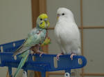 20070730_184-1.jpg