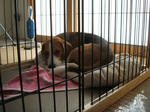 20070826_004-1.jpg