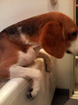 070909_2020001.jpg