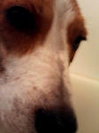 070909_2032002.jpg