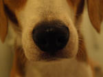20070922_122-1.jpg