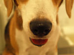 20070922_126-1.jpg