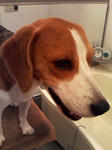 071030_2049.jpg