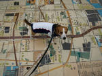 20071111_046-1.jpg