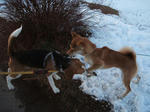 DSCF0160.JPG