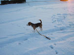 DSCF0163.JPG