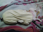 080216-012706.jpg