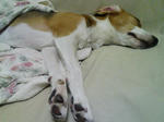 080217-001143.jpg