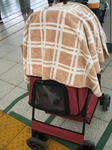 2008_03020002_001.JPG