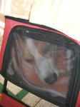 2008_03020003_001.JPG