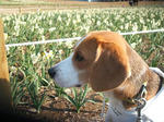 2008_03020018_001.JPG