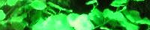85cdd047.PNG