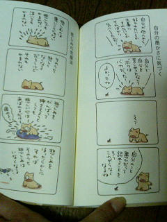 ブッタとシッタカブッタ中