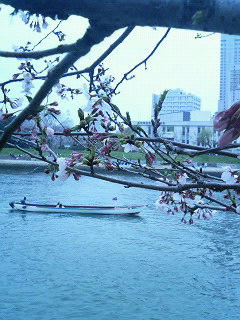 桜と船