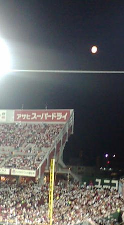 野球観戦4