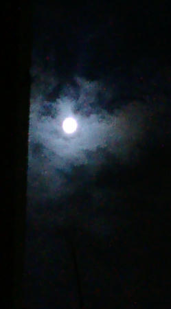 月見
