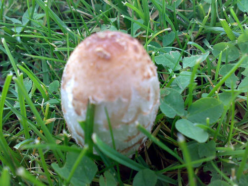 08102008719.jpg