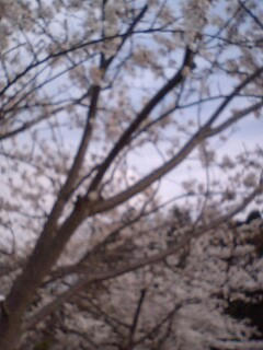080404_1442~0001.jpg