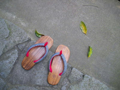 IMGP0204.jpg