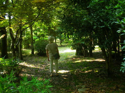 IMGP0209.jpg