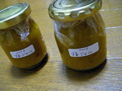 IMGP0347_edited.jpg