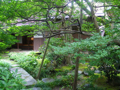 IMGP1985.jpg