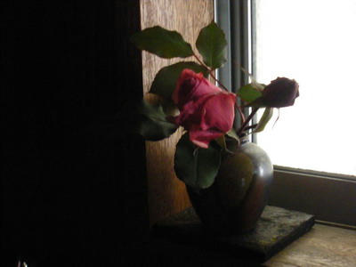 IMGP2553.jpg