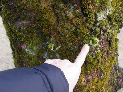 IMGP2816.jpg