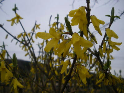 IMGP2873.jpg