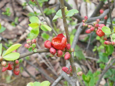 IMGP2886.jpg