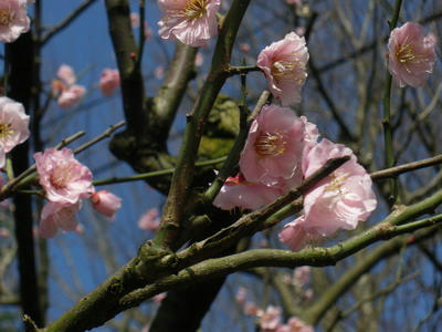 IMGP2922.jpg